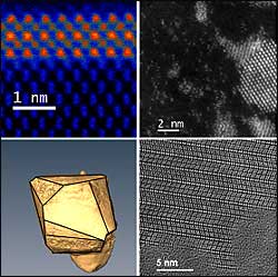 electron microscopy image