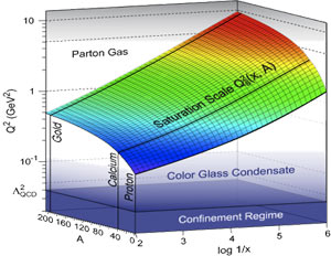 Colour Glass Condensate