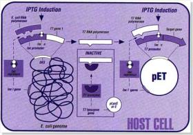 TCP Technology