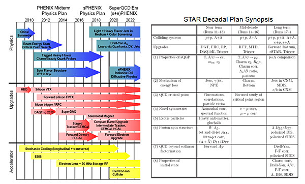 Summary of the PHENIX and STAR decadal plans.