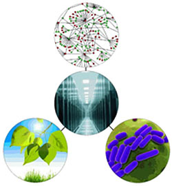 Integrated Knowledgebase Icon