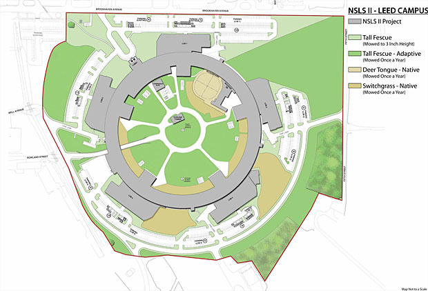 NSLS-II LEED Elements