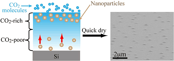 scCO2-induced surface segregation of nanoparticles