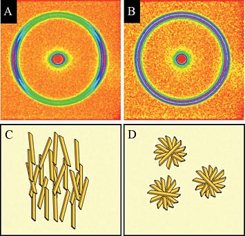 X-ray diffraction patterns of fat crystals