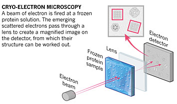 Schematic of cryo-electron microscopy.