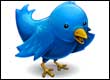 twitter logo