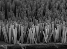 nanowire array