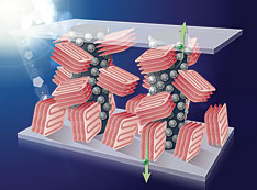 Polymer-based plastic solar cells