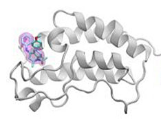 A schematic of the BRD4 protein bound to one of 16 drugs