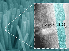 ZnO nanowire photocatalysts