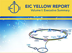EIC Yellow Report