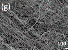 electron microscopy image