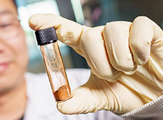 Scientist in a white lab coat with a gloved hand holds a vial containing brown powder.