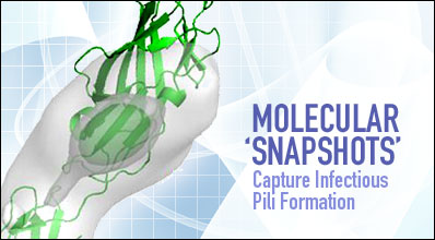 Molecular snapshots