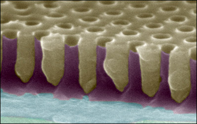 organic solar cells