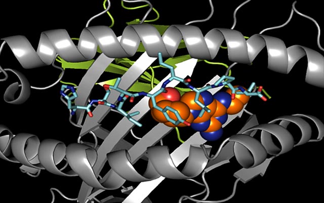 HIV/AIDS drug abacavir