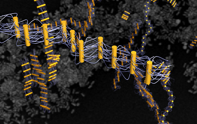 Nanorods