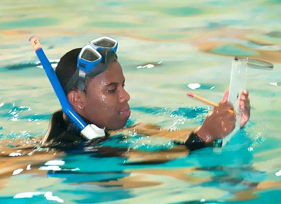 photo of man with snorkel equipment in pool