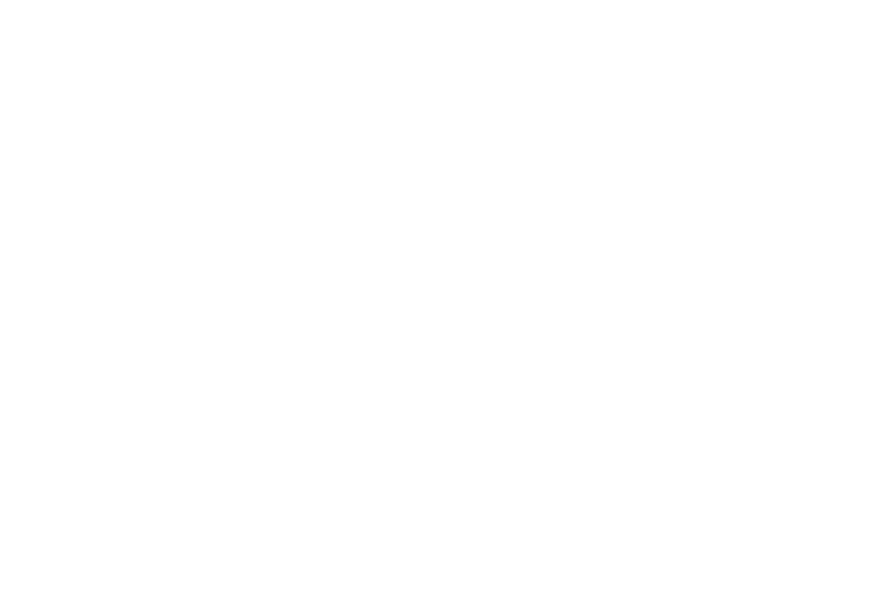 Brookhaven, Logopedia