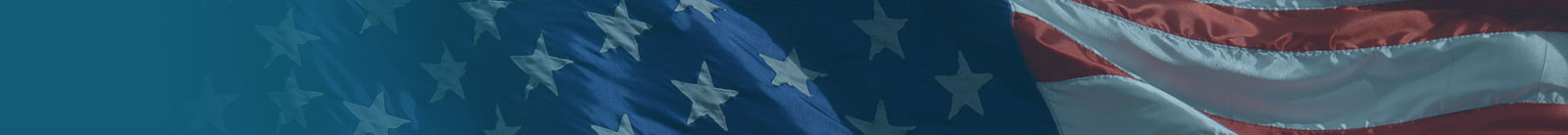 flag banner image