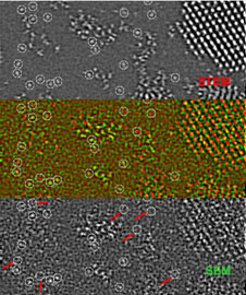 SEM imaging