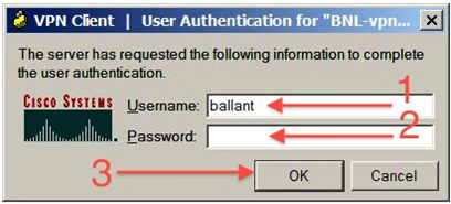 User Authentication Window