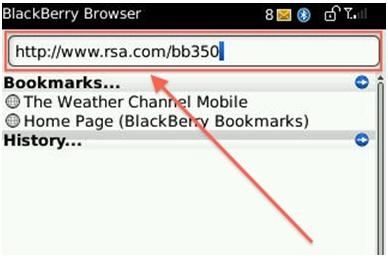 Browse to RSA Website