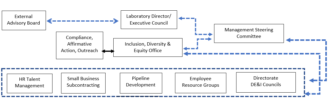 Diversity, Equity & Inclusion Advisory/Functional Structure