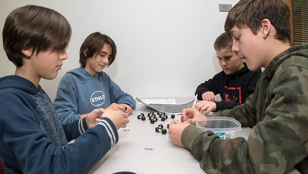 image of students engaged in lab activity