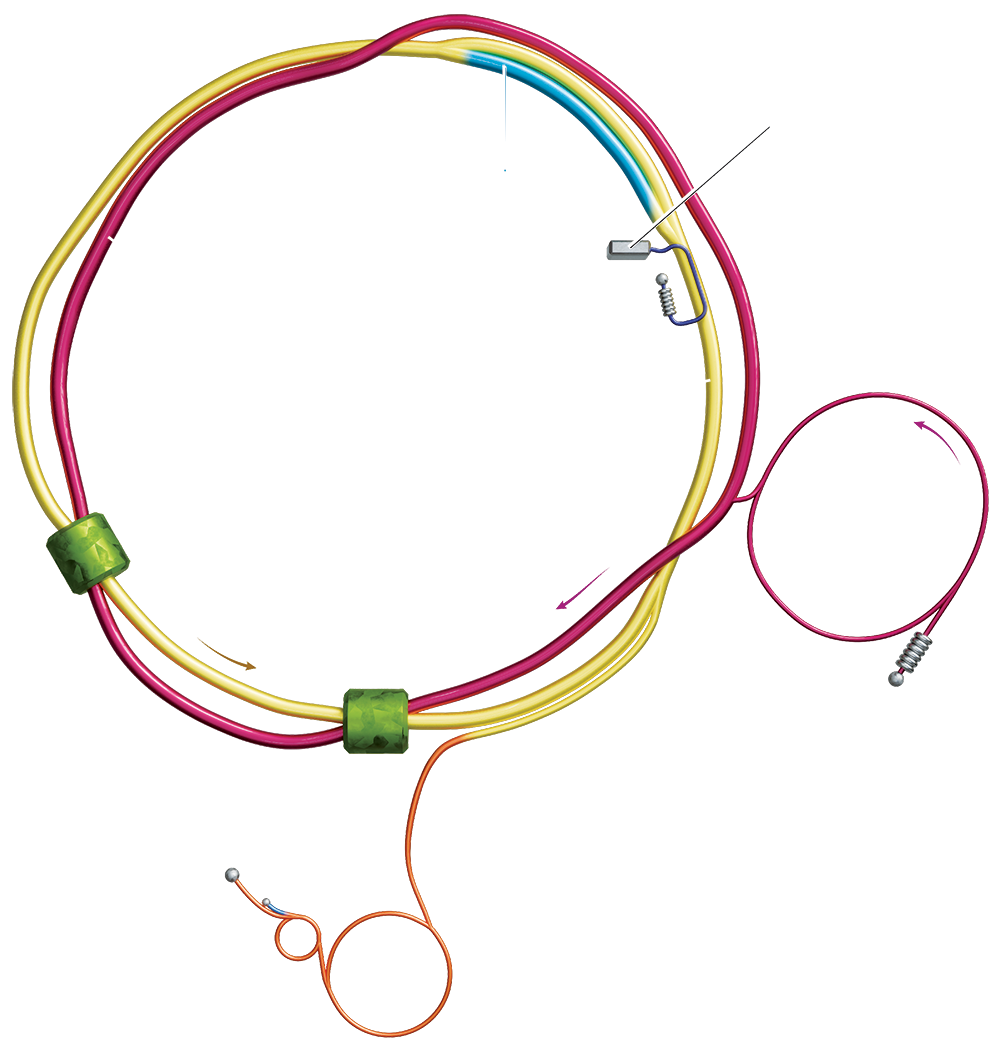 EIC schematic