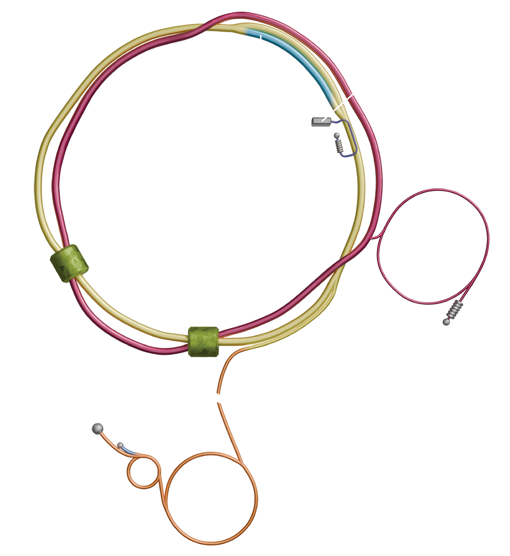 EIC schematic