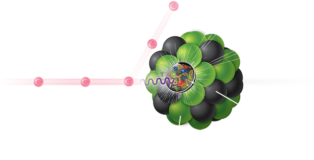 electron-ion collision diagram
