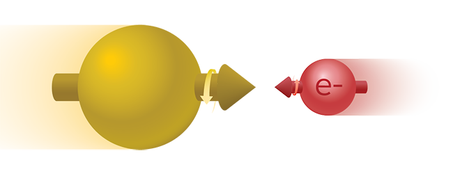 EIC polarization image