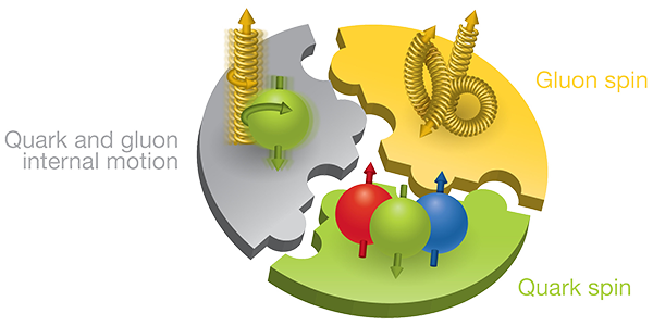rendering of proton spin puzzle