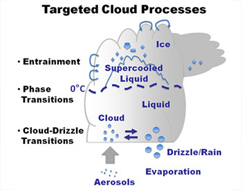 tareted cloud processes