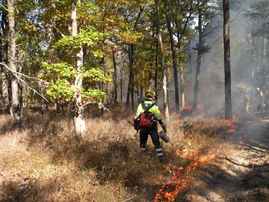 2011 Fire Academy