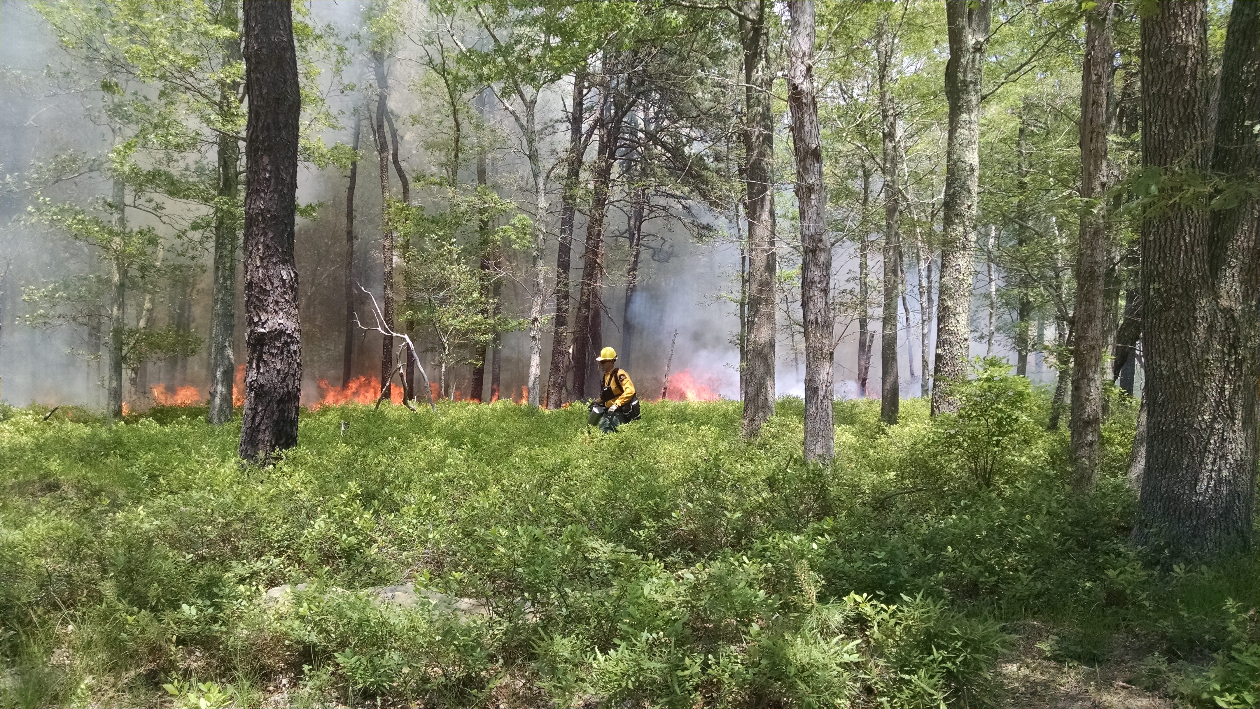 2017 Prescribed Burn