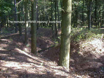 Photograph of the remains of WWI training trenches