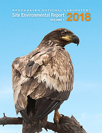 site environmental report cover