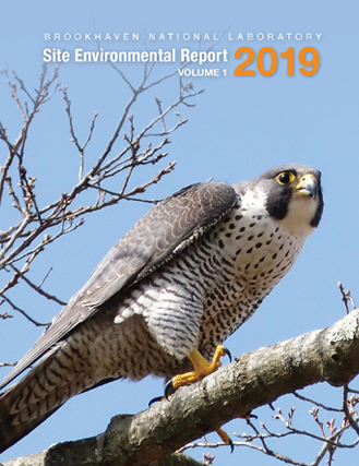 site environmental report cover