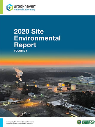 site environmental report cover