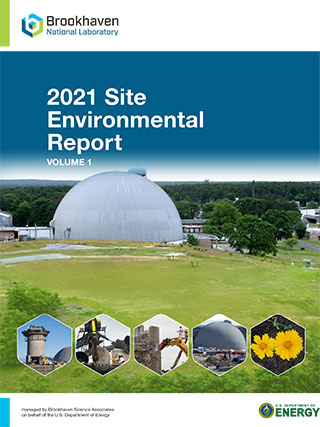 site environmental report cover