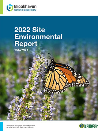 site environmental report cover