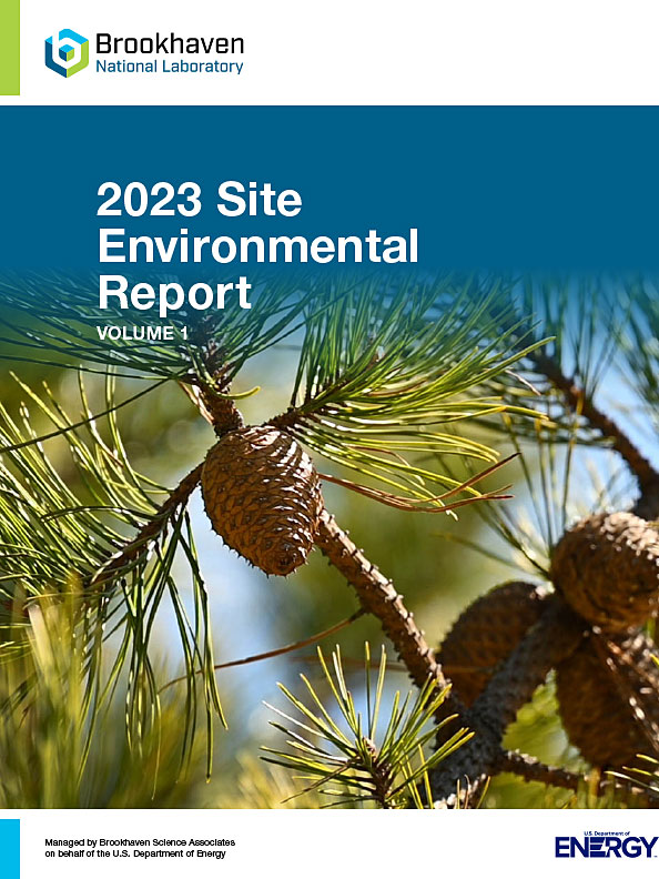 site environmental report cover