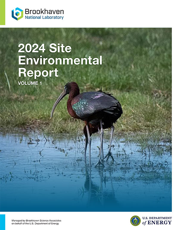 site environmental report cover