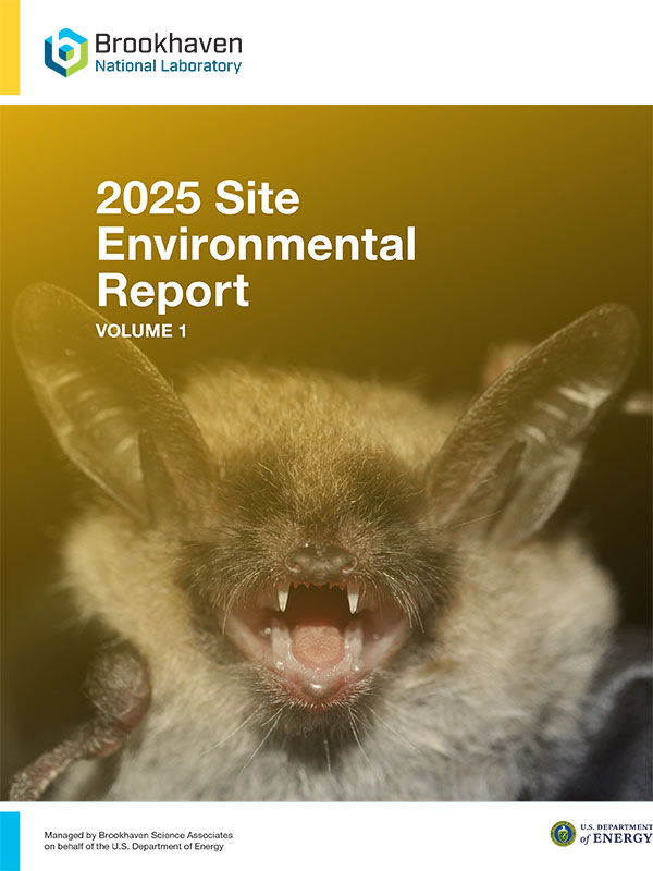 site environmental report cover