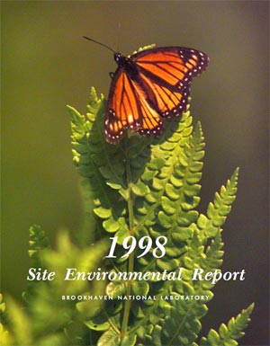 site environmental report cover