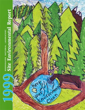 site environmental report cover