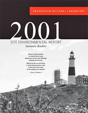 site environmental report cover