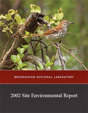 site environmental report cover